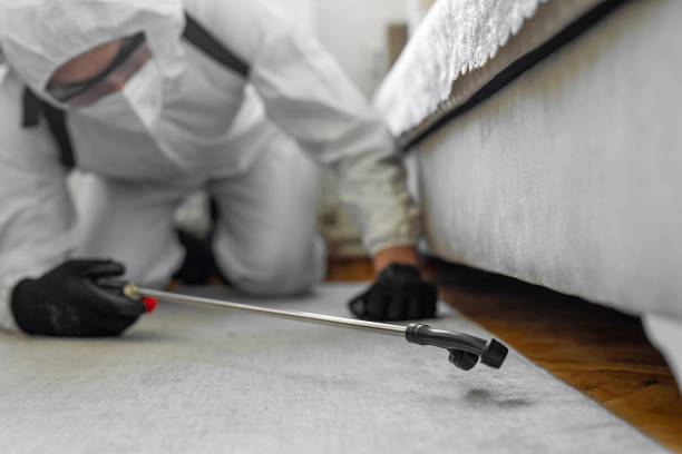 Professional Mosquito Control technician working in Florence, AZ
