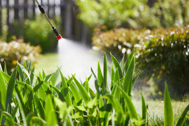 24/7 Emergency Mosquito Control experts in Florence, AZ