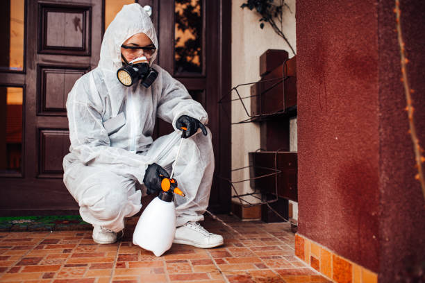 Reliable Mosquito Control contractor in Florence, AZ by Nex Pest Control